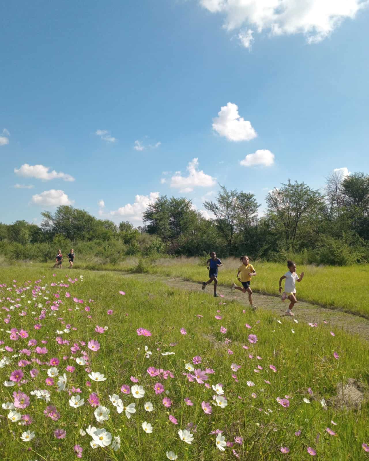 The Parys Wetlank Pak will be officially opened this Saturday.