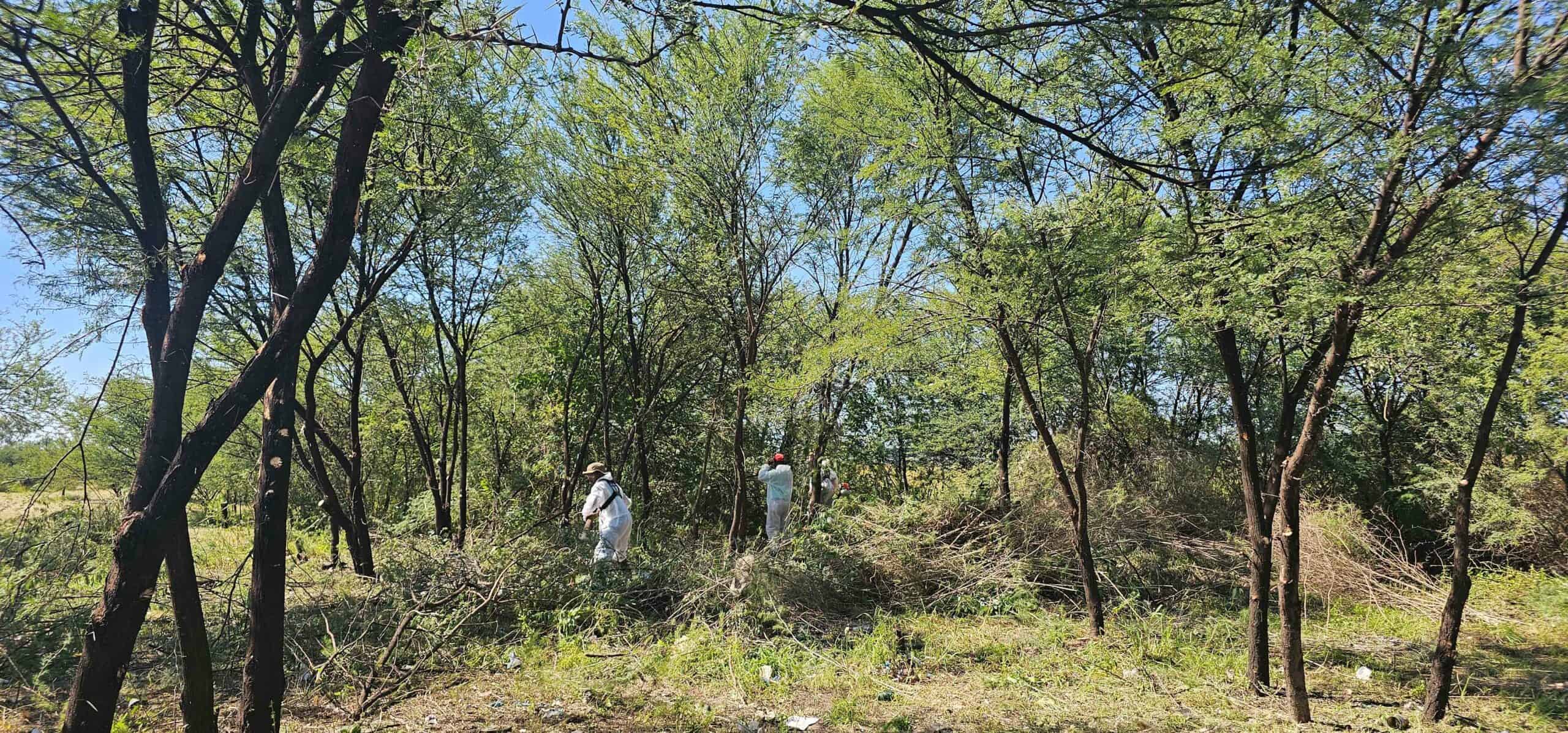 With the cleaning of the Parys Wetland Park, the aim is to prevent illegal litter and to ensure a safe environment for all to enjoy the scenic Wetland Park area.