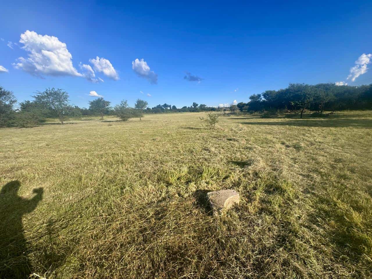 The beautiful Parys Wetland Park area.