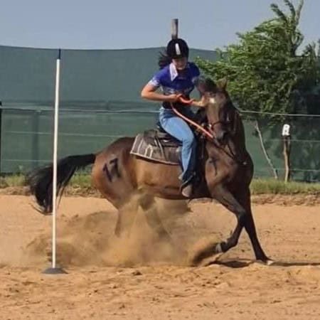 Western Mounted Games uitdunne.