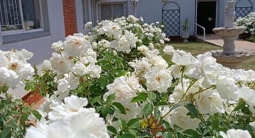 Amot se personeel en bejaardes werk ewe hard om die tehuis se tuine mooi en instand te hou.