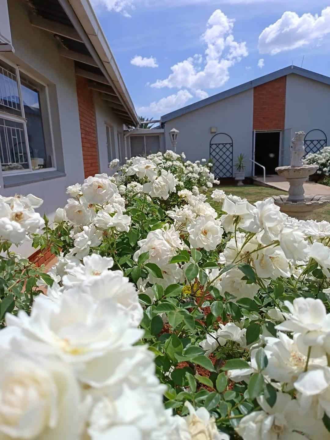 Amot se personeel en bejaardes werk ewe hard om die tehuis se tuine mooi en instand te hou.