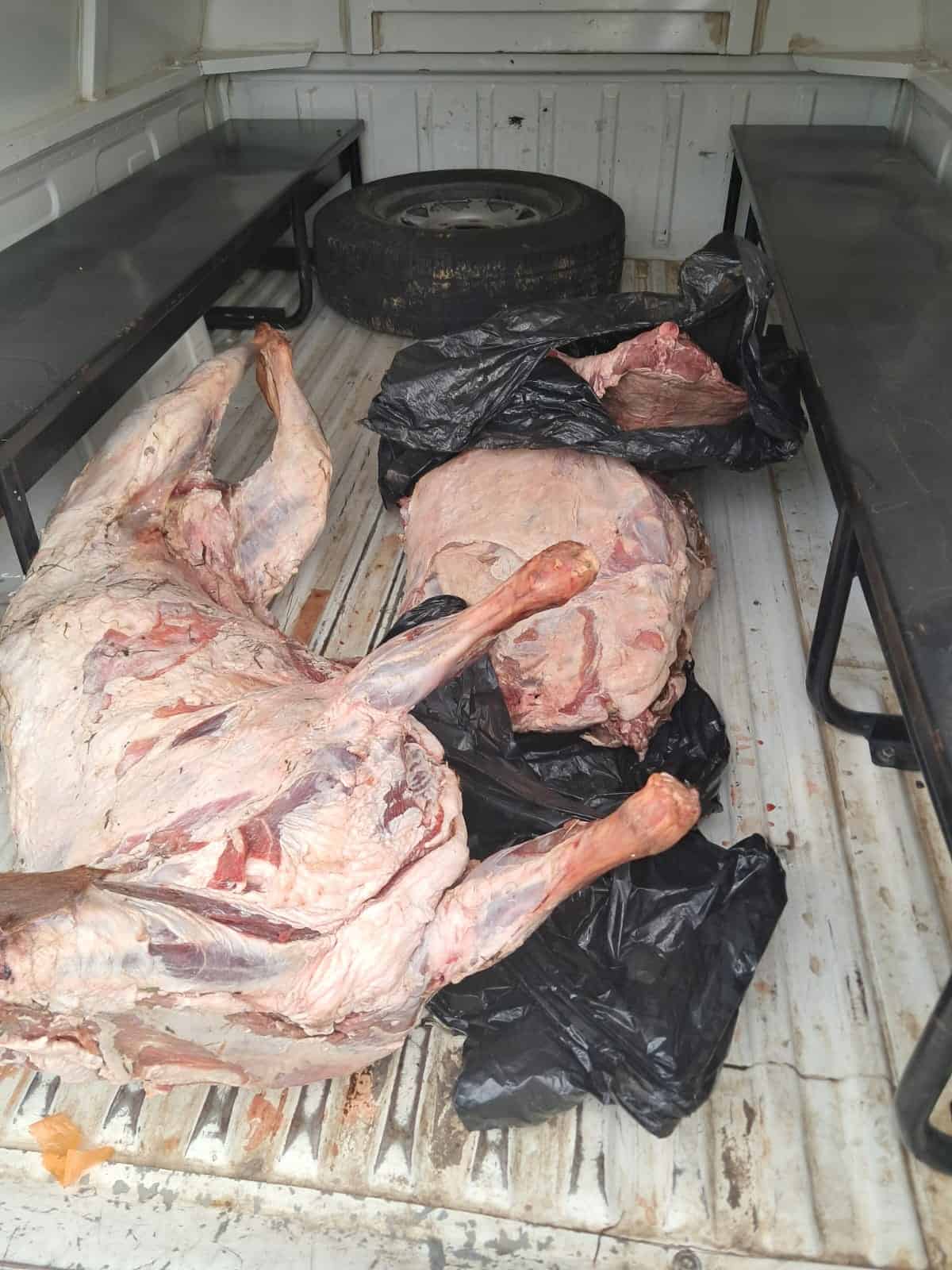 Van die skaapkarkasse waarop beslag gelê is. Foto: Verskaf deur SAPD