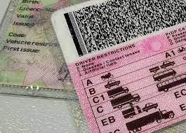 Drivers licence illustration photo