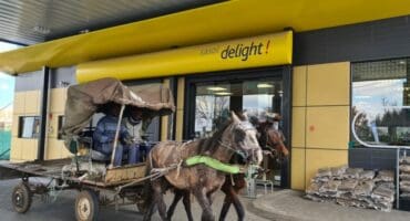 Teen die tempo wat brandstofpryse nou styg, is 'n perdekar dalk 'n opsie om te oorweeg. Foto: Liezl Scheepers