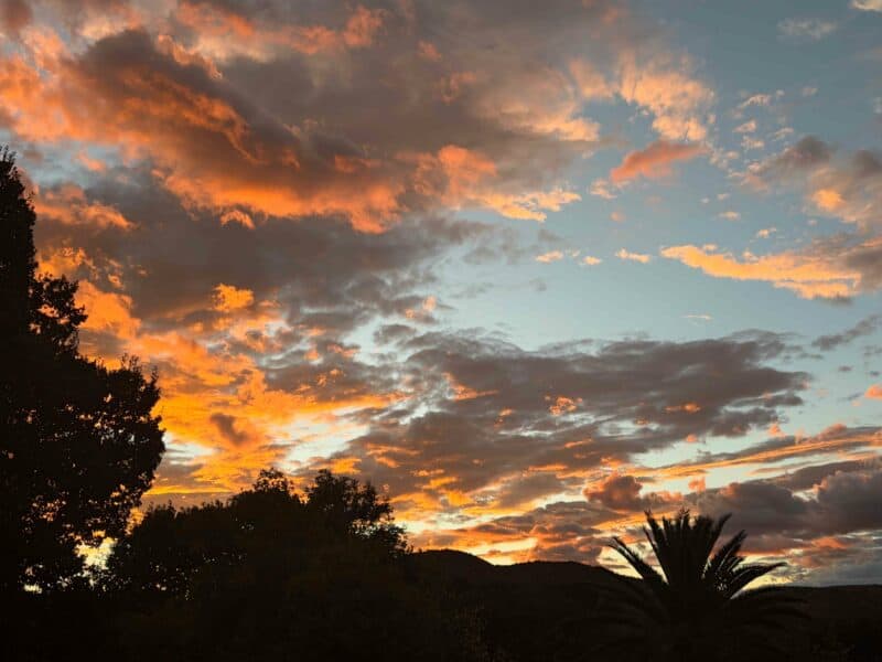 'n Palet van kleur. Foto: Martenie en Danie