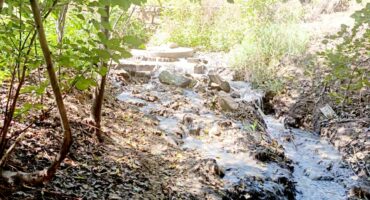 Die foto is op 21 April deur AfriForum by die Sandgat in Parys geneem waar rioolwater uit 'n verstopte mangat in die Vaalrivier inloop. Foto: Verskaf