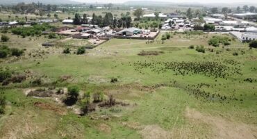 The Parys Wetland Park. Photo: Johan Smit