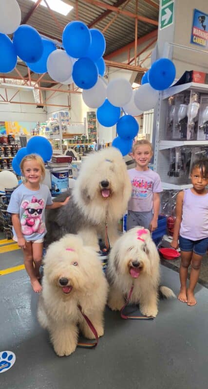 Orion (middle) are Jade and YoYo, and Ava and Elzè sieberhagen, and Zuri Liebenberg.