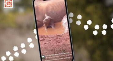 Orphaned white rhino becomes a mom for the second time_FEATURE