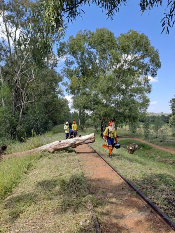 Die Parys Working on Fire-span hard aan die werk langs die
spoorlyn saam met die Parys Vleiland Park-komiteelede. Foto’s: Danie Venter.