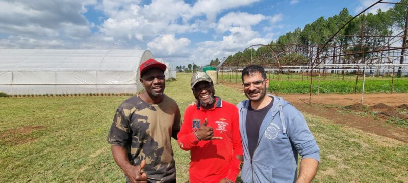 Photographed are Raldane Mhike, Mandla Matjeloane and Jacques Mutevelian.