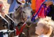 Besoekers van heinde en ver het weer vanjaar die Nampo Oesdag bygewoon. Foto: Graan SA