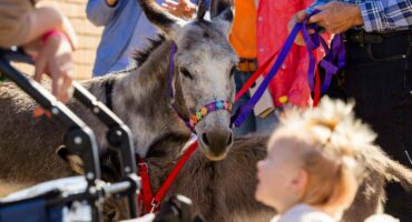 Besoekers van heinde en ver het weer vanjaar die Nampo Oesdag bygewoon. Foto: Graan SA