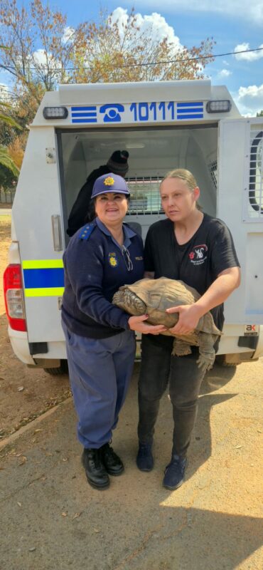 Die skilpad saam met kaptein Elize van Schalkwyk en Kelly Meintjies van Natuurbewaring. Foto: Verskaf