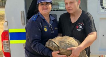 Die skilpad saam met kaptein Elize van Schalkwyk en Kelly Meintjies van Natuurbewaring. Foto: Verskaf