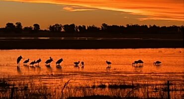 Baberspan se mooi. Foto verskaf deur Melanie Basson.