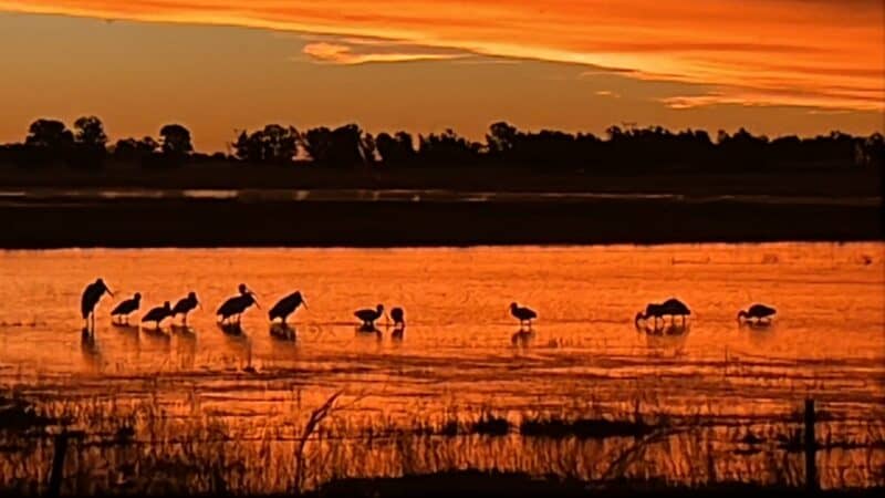 Baberspan se mooi. Foto verskaf deur Melanie Basson.