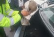 Die mans het probeer om die ietermagog vir R80 000 te verkoop. Foto: SAPD Kommunikasiedienste