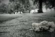 Illustrasiefoto: Canva