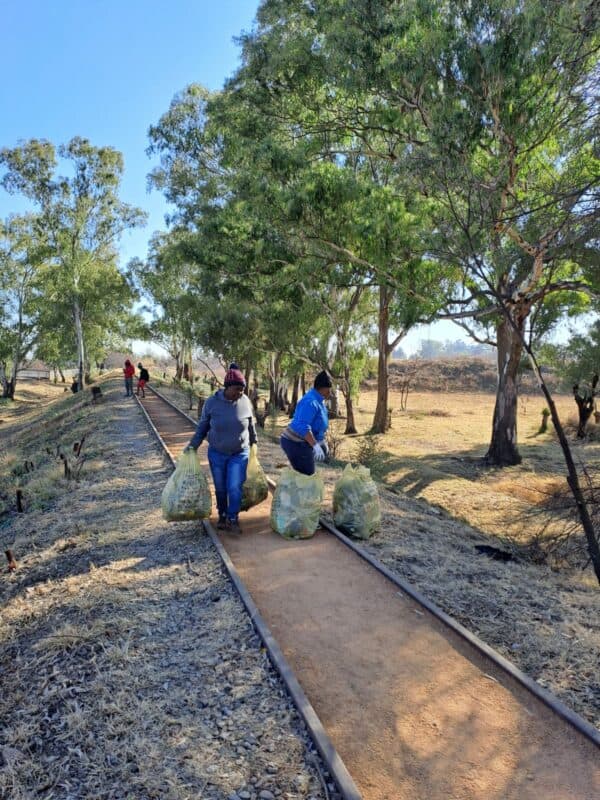 Volunteers collecting bags of refuse as part of the wetland clean-up campaign. Photo credit: Danie Venter