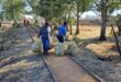 Volunteers collecting bags of refuse as part of the wetland clean-up campaign. Photo credit: Danie Venter