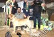 'n Groot oomblik toe Ziyaad Issi se 19 maande oue Bandit Orion met die toptoekenning weggestap het as die SA Boerboeltelersgenootskap se Hond van die Jaar vir 2026. Links is Litita Kruger, voorsitter van die SA Boerboeltelersgenootskap. Foto: Liiezl Scheepers