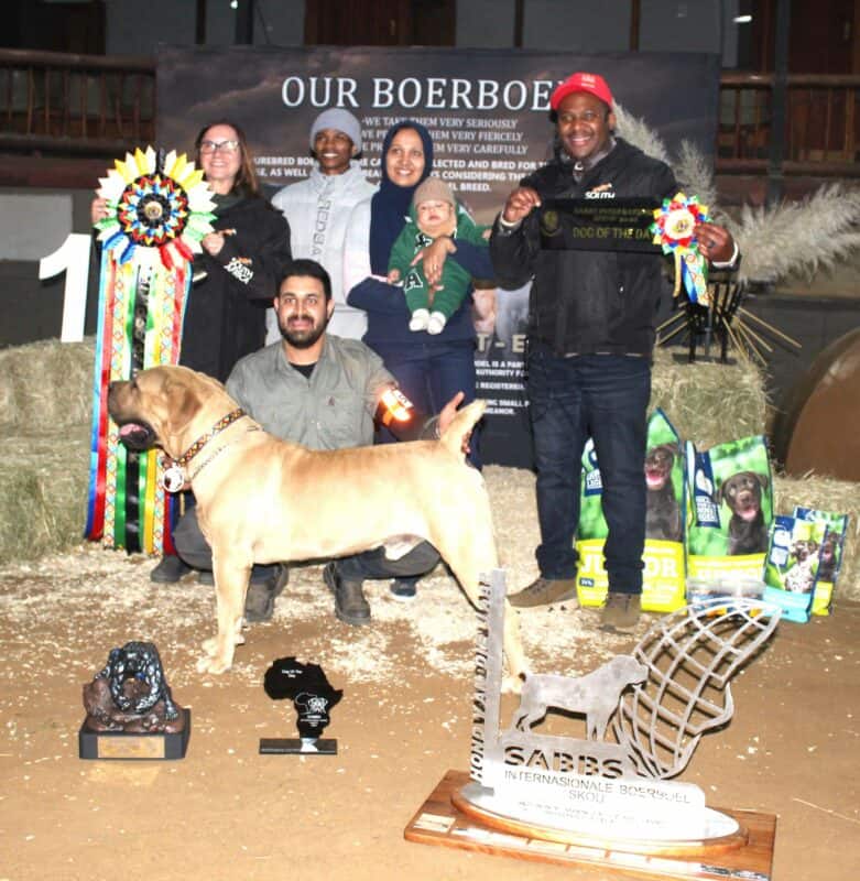 'n Groot oomblik toe Ziyaad Issi se 19 maande oue Bandit Orion met die toptoekenning weggestap het as die SA Boerboeltelersgenootskap se Hond van die Jaar vir 2026. Links is Litita Kruger, voorsitter van die SA Boerboeltelersgenootskap. Foto: Liiezl Scheepers