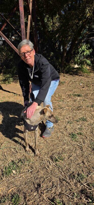 Colleen Wilson doing her part for the SPCA. Photo: Liezl Scheepers