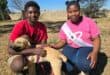 Ayanda Precious Ndhlou and Mpho Phati sharing 67 minutrs of care at Parys SPCA. Photo: Supplied