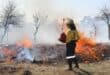 'n Lid van die Working on Fire-span hou 'n wakende oog waar indringerplante wat uit die Parys Vleiland Park verwyder is, in 'n beheerde brand vernietig is. Foto: Liezl Scheepers
