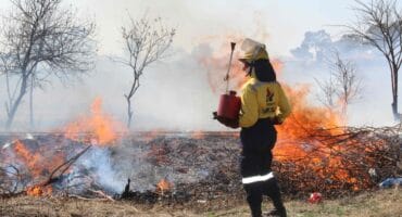 'n Lid van die Working on Fire-span hou 'n wakende oog waar indringerplante wat uit die Parys Vleiland Park verwyder is, in 'n beheerde brand vernietig is. Foto: Liezl Scheepers