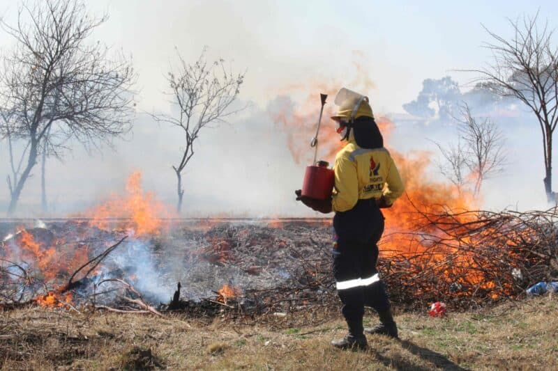 'n Lid van die Working on Fire-span hou 'n wakende oog waar indringerplante wat uit die Parys Vleiland Park verwyder is, in 'n beheerde brand vernietig is. Foto: Liezl Scheepers