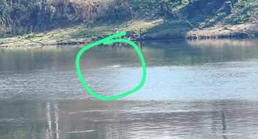 Die foto wat M. Smith kon neem van die Vaal se krok wat hulle oënskynlik die naweek onder Barrage gesien het. Foto: M. Smith