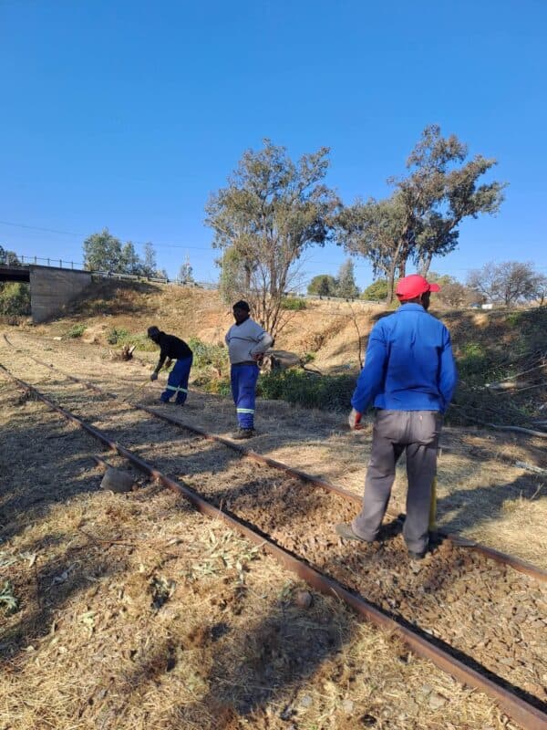 Die afgelope weke is 'n skoonmaakaksie en ontbossing gedoen ter voorbereiding van die verlenging van die Rail Trail na die ou spoorwegstasie. Foto's Rail Trail: Danie Venter