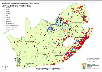 A map showing reported Rabies outbreaks in South Africa between January 2014 and December 2015. Image: SA Goernment News. 