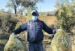 A volunteer who helped during a previous clean-up campaign. Photo: Liezl Scheepers