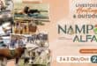 Nampo Alfa word vandeesweek op die Oesdagplaas buite Bothaville aangebied. Foto: Verskaf