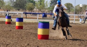Die foto is met 'n vorige SA Western Mounted Games-kampioenskap in Parys geneem. Foto: Verskaf