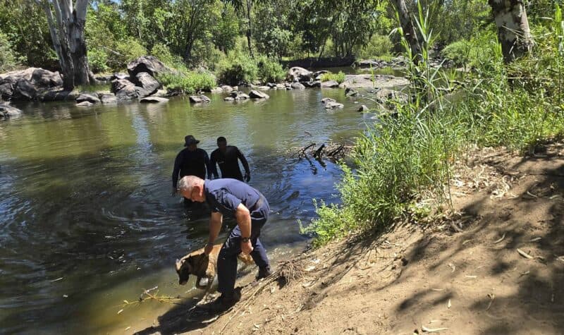 Adjudant-offisier Swannie Swanepoel van die K9 Soek-en-reddingseenheid in Bloemfontein saam met Waterpolisiëring en duikeenheid lede van die polisie waar daar vanoggend in Grewarlaan na die beskuldigde in die Vaalrivier gesoek is. Foto: Liezl Scheepers