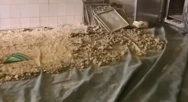 Die dwelmlaboratorium is op 'n plot by Scheerpoort naby die Hartebesspoortdam bedryf. Foto: SAPD Kommunikasiedienste