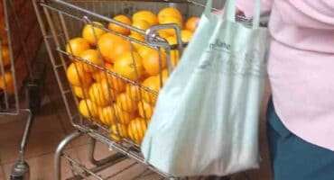 Tonne lemoene is aan bejaardes van Blommefonds te huis vir hul kom lemoene haal. Meeste inwoners is SASSA bejaardes.