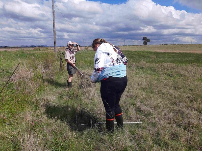 The search team looking for the flamingo. Photo: Supplied.