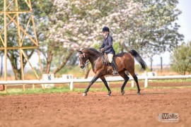 KIMBERLY MINCHIN - R A FARHADDINN
