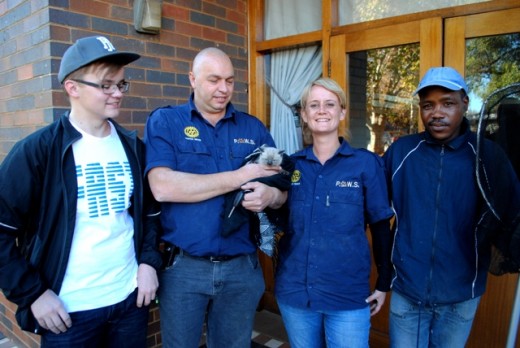 Ano Fouché, Andries Venter met Orrel die katjie, Soné Engelbrecht en Lloyd Mosala het vir ure gewerk om die katjie uit die muur te red. Foto: Marianke Saayman