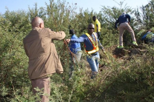 Wardens, social workers, police officials, and community workers all came together to clear up the crime hot spot. Photo: Selogile Leshage