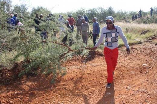 Trees were cut to destroy the hiding place of the criminals. Photo: Selogile Leshage