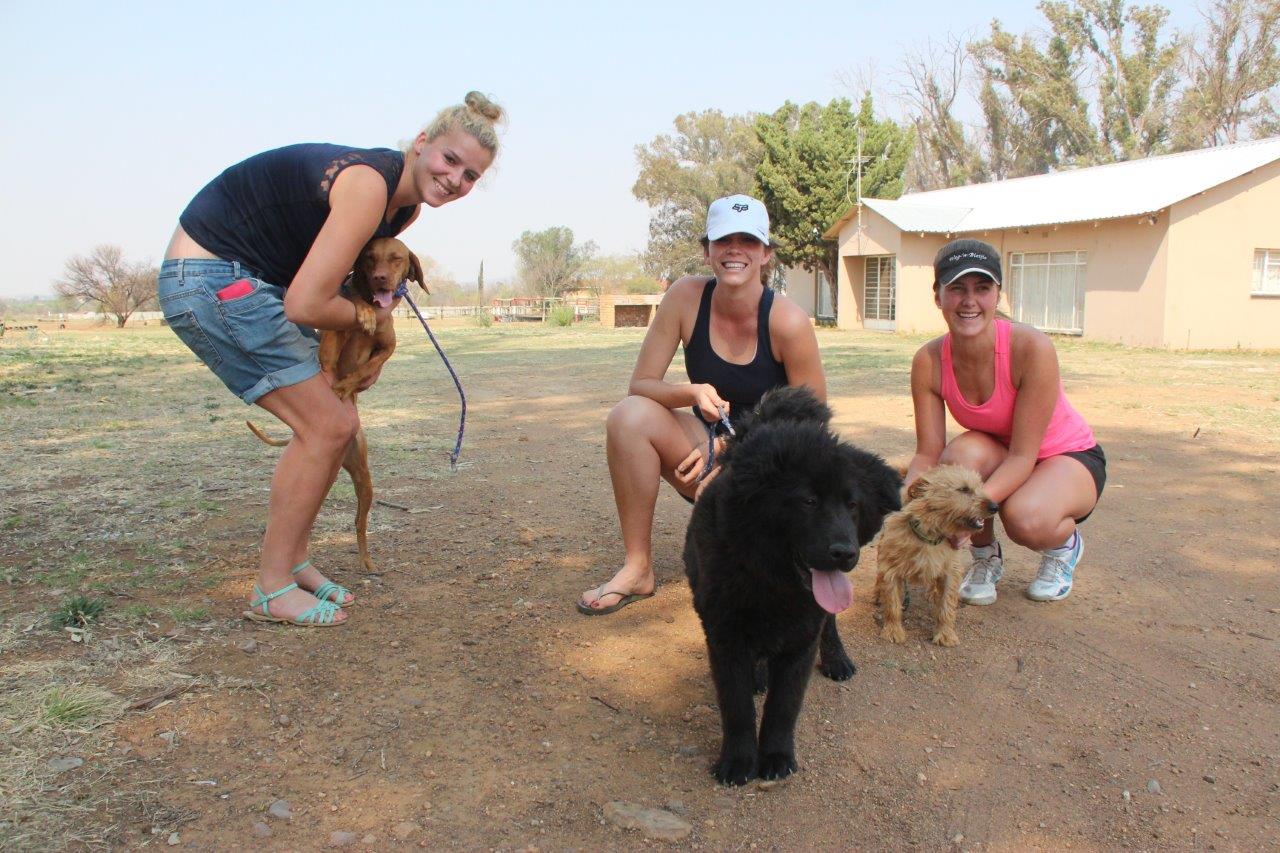 Chanté Bester, Marna Claassens en Jomari Myburgh saam met hulle Paws honde.