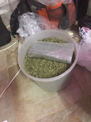 dagga bucket