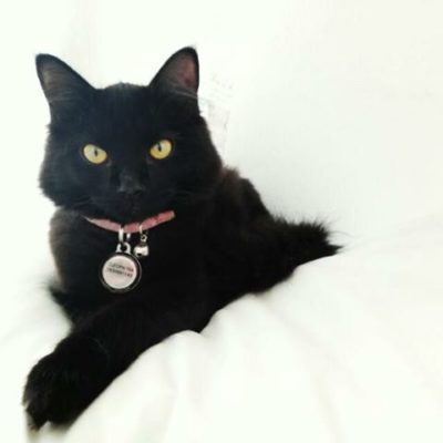 Cleopatra